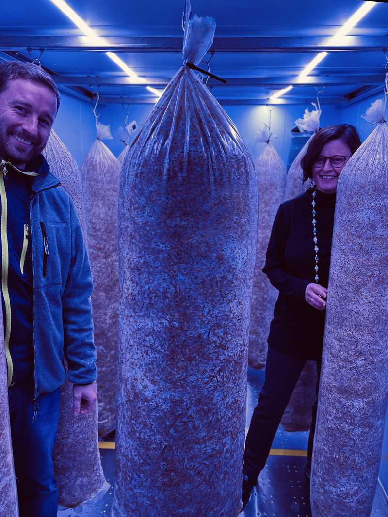 Pilzduo Foto